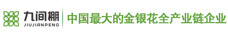 金銀花苗木，金銀花小苗，北花一號(hào)金銀花種苗--金銀花種苗廠(chǎng)家平邑縣九間棚農(nóng)業(yè)科技園有限公司