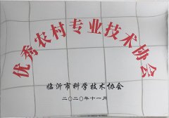 2020年11月，九間棚金銀花合作社被評(píng)為全市優(yōu)秀農(nóng)村專(zhuān)業(yè)技術(shù)協(xié)會(huì)。